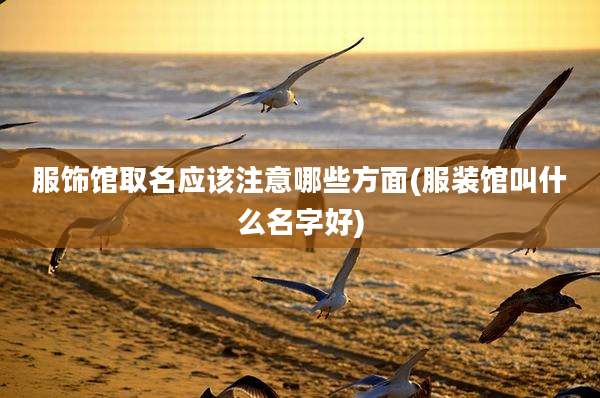 服饰馆取名应该注意哪些方面(服装馆叫什么名字好)