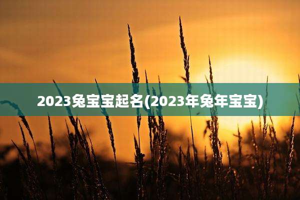 2023兔宝宝起名(2023年兔年宝宝)