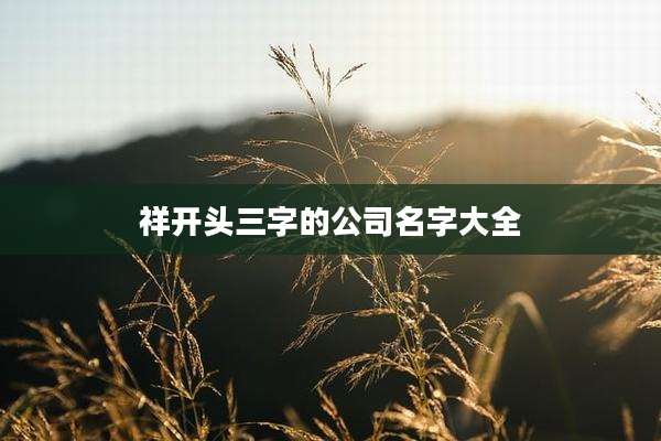 祥开头三字的公司名字大全
