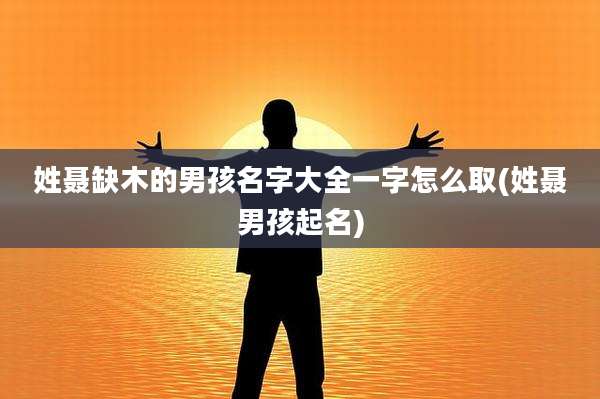 姓聂缺木的男孩名字大全一字怎么取(姓聂男孩起名)