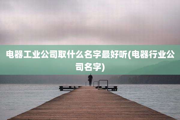 电器工业公司取什么名字最好听(电器行业公司名字)