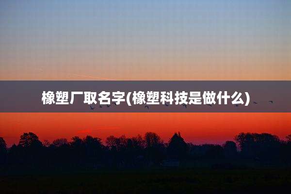 橡塑厂取名字(橡塑科技是做什么)