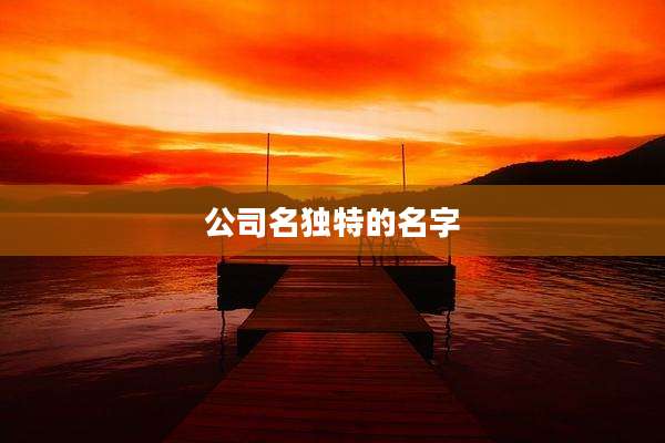 公司名独特的名字