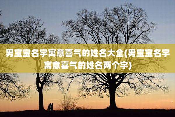男宝宝名字寓意喜气的姓名大全(男宝宝名字寓意喜气的姓名两个字)