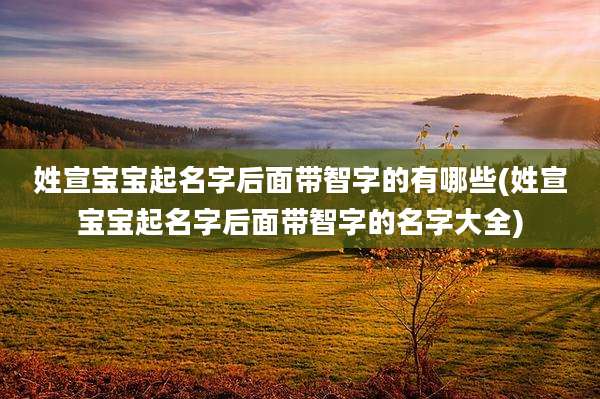姓宣宝宝起名字后面带智字的有哪些(姓宣宝宝起名字后面带智字的名字大全)