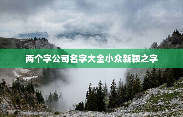 两个字公司名字大全小众新颖之字