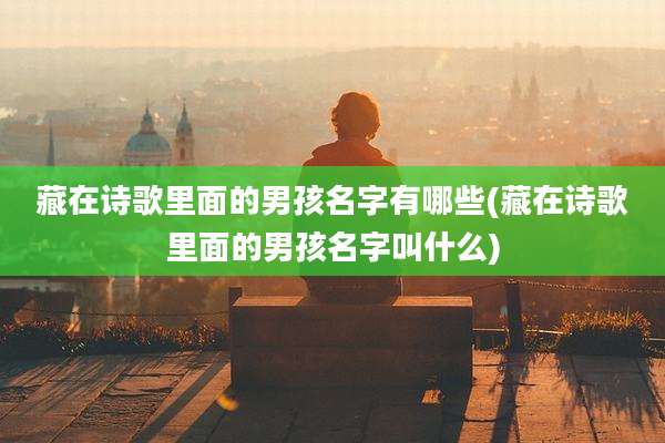 藏在诗歌里面的男孩名字有哪些(藏在诗歌里面的男孩名字叫什么)