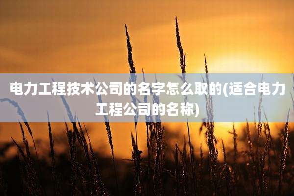电力工程技术公司的名字怎么取的(适合电力工程公司的名称)