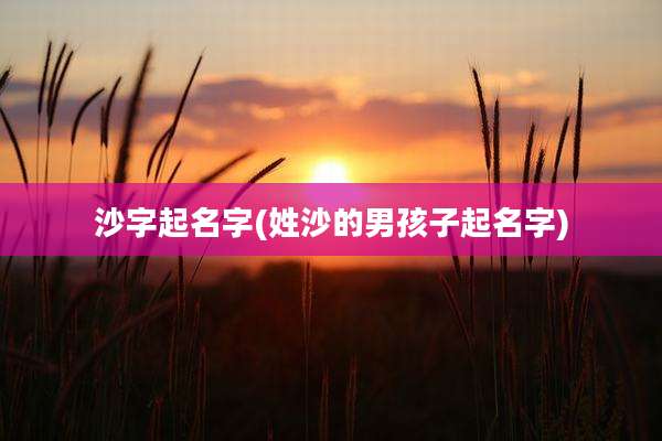 沙字起名字(姓沙的男孩子起名字)