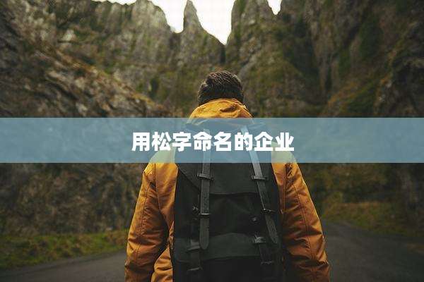 用松字命名的企业