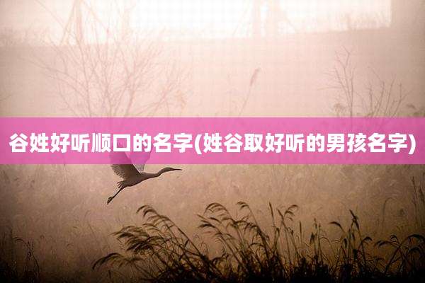 谷姓好听顺口的名字(姓谷取好听的男孩名字)