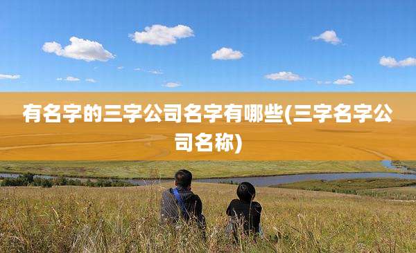 有名字的三字公司名字有哪些(三字名字公司名称)