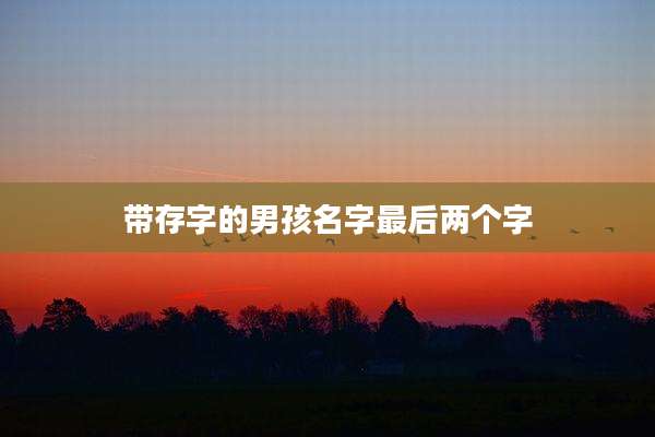 带存字的男孩名字最后两个字