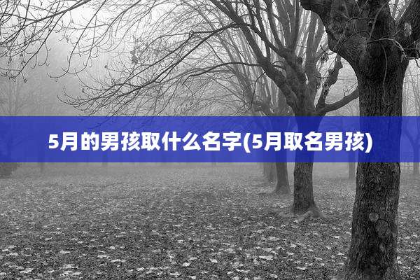 5月的男孩取什么名字(5月取名男孩)