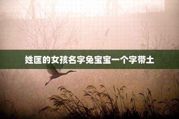 姓匡的女孩名字兔宝宝一个字带土