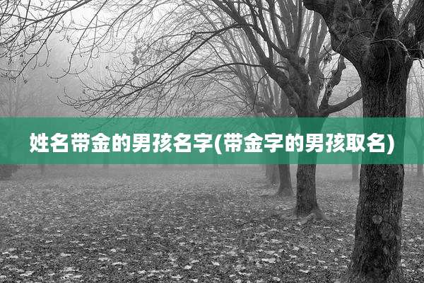 姓名带金的男孩名字(带金字的男孩取名)