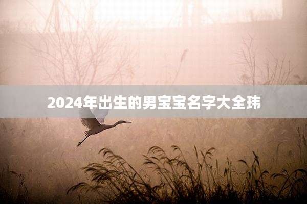 2024年出生的男宝宝名字大全玮