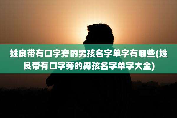 姓良带有口字旁的男孩名字单字有哪些(姓良带有口字旁的男孩名字单字大全)