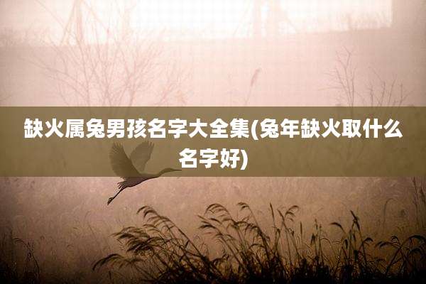 缺火属兔男孩名字大全集(兔年缺火取什么名字好)