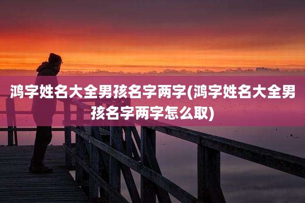 鸿字姓名大全男孩名字两字(鸿字姓名大全男孩名字两字怎么取)