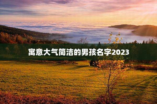 寓意大气简洁的男孩名字2023
