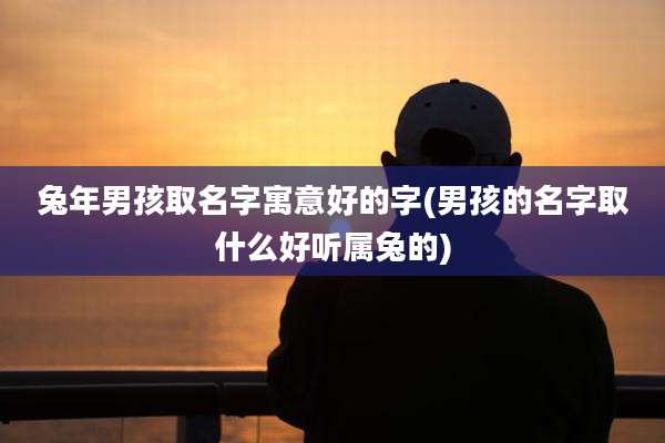 兔年男孩取名字寓意好的字(男孩的名字取什么好听属兔的)