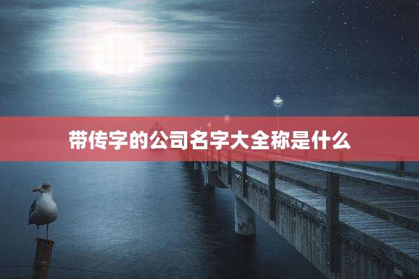 带传字的公司名字大全称是什么