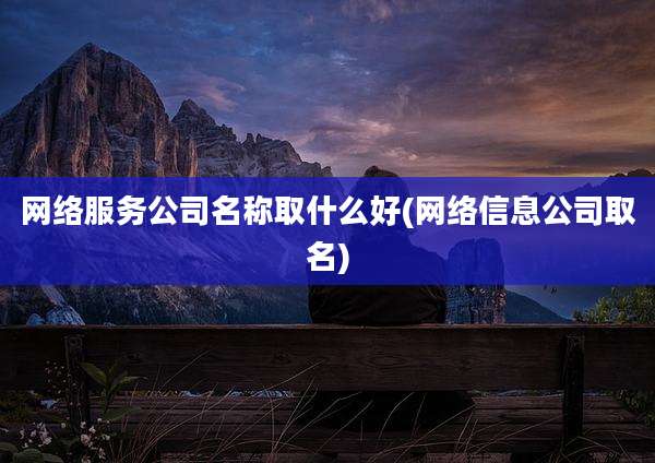 网络服务公司名称取什么好(网络信息公司取名)
