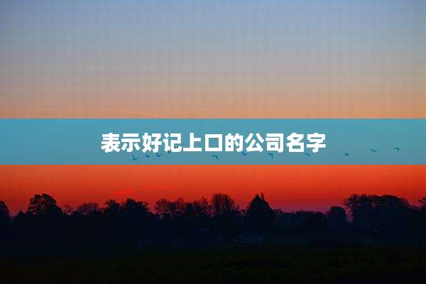 表示好记上口的公司名字