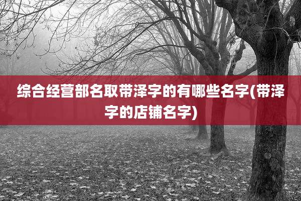 综合经营部名取带泽字的有哪些名字(带泽字的店铺名字)