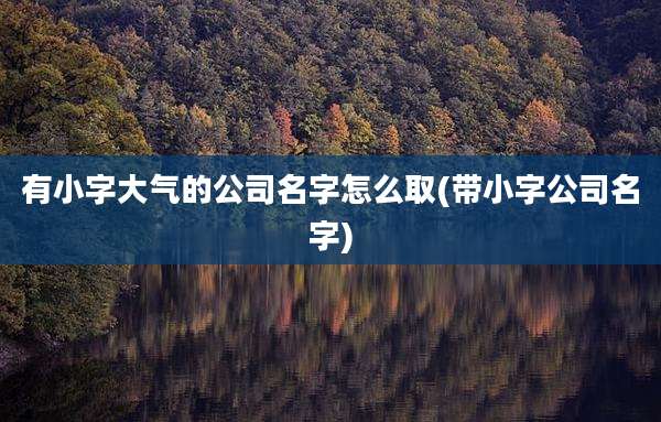 有小字大气的公司名字怎么取(带小字公司名字)