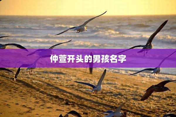 仲萱开头的男孩名字