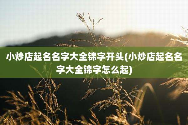小炒店起名名字大全锦字开头(小炒店起名名字大全锦字怎么起)