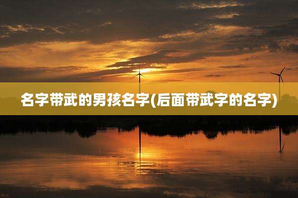 名字带武的男孩名字(后面带武字的名字)