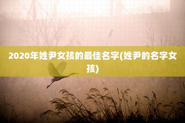 2020年姓尹女孩的最佳名字(姓尹的名字女孩)