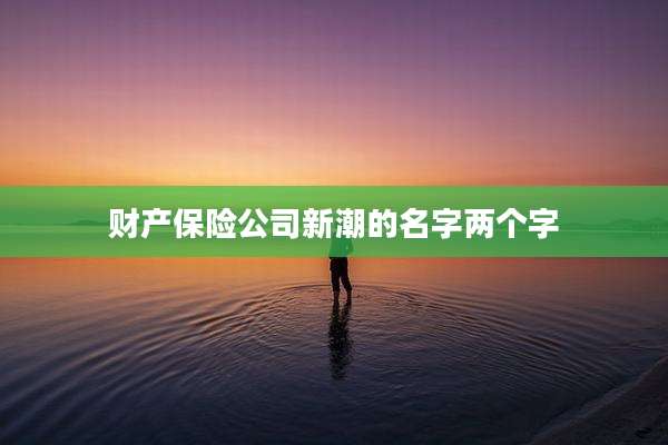 财产保险公司新潮的名字两个字