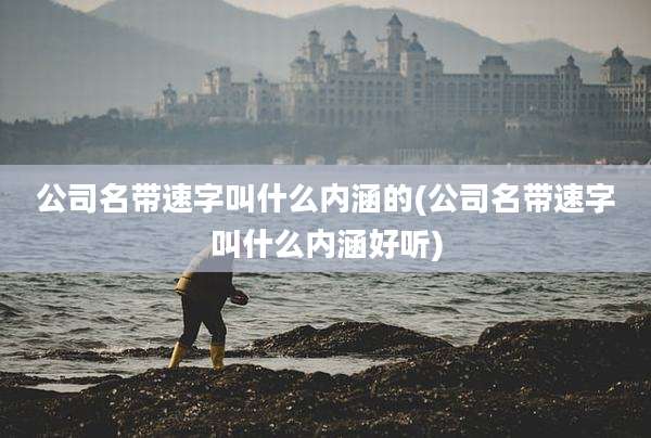 公司名带速字叫什么内涵的(公司名带速字叫什么内涵好听)