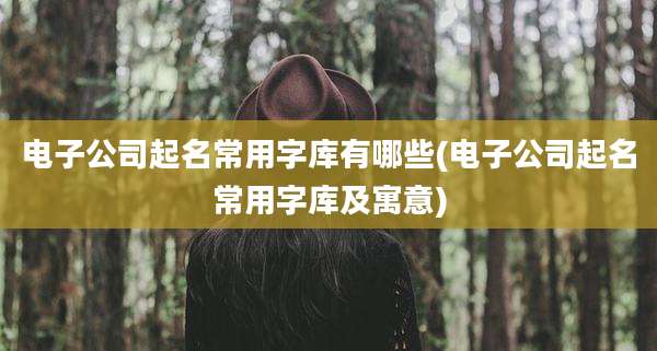 电子公司起名常用字库有哪些(电子公司起名常用字库及寓意)