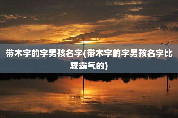 带木字的字男孩名字(带木字的字男孩名字比较霸气的)