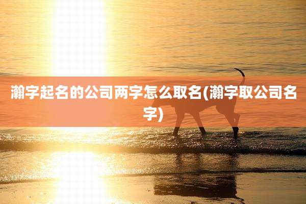 瀚字起名的公司两字怎么取名(瀚字取公司名字)