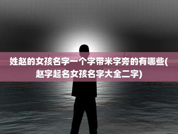 姓赵的女孩名字一个字带米字旁的有哪些(赵字起名女孩名字大全二字)