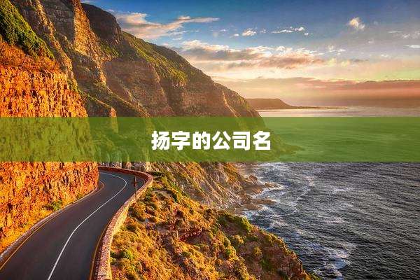 扬字的公司名