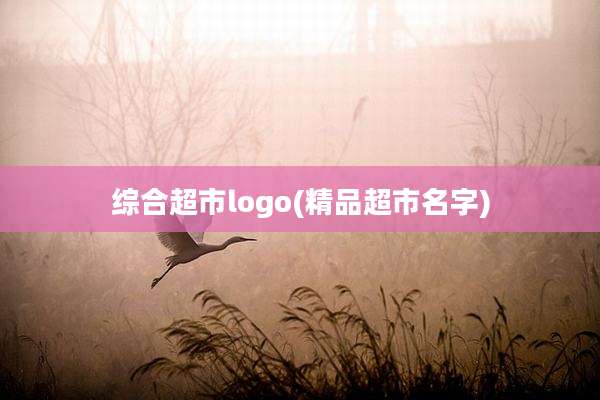 综合超市logo(精品超市名字)