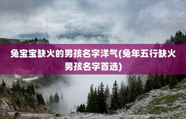 兔宝宝缺火的男孩名字洋气(兔年五行缺火男孩名字首选)