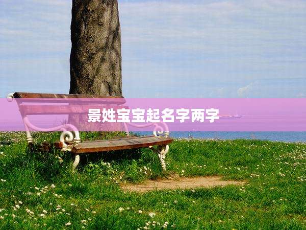 景姓宝宝起名字两字