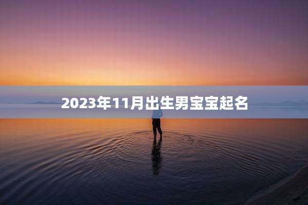 2023年11月出生男宝宝起名