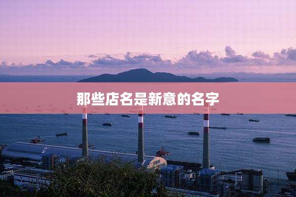 那些店名是新意的名字