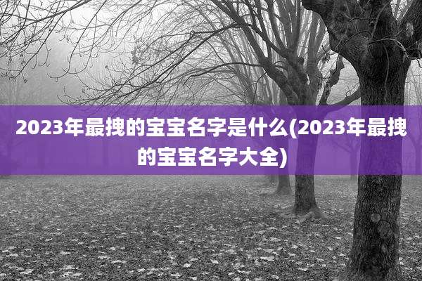 2023年最拽的宝宝名字是什么(2023年最拽的宝宝名字大全)