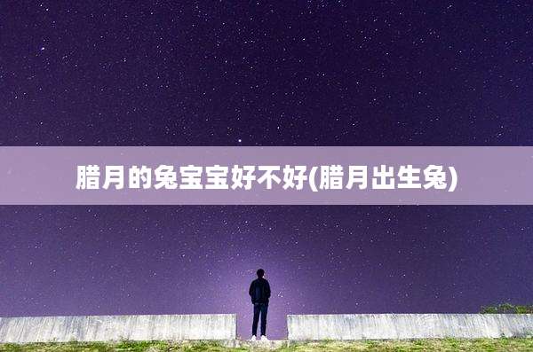 腊月的兔宝宝好不好(腊月出生兔)