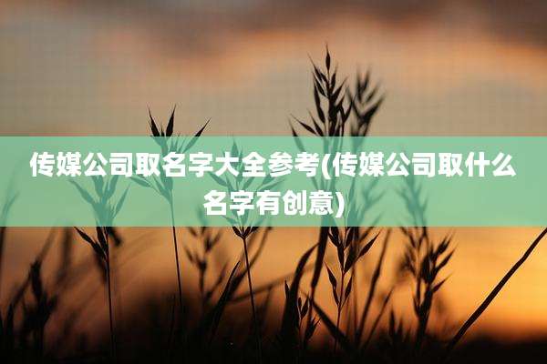 传媒公司取名字大全参考(传媒公司取什么名字有创意)